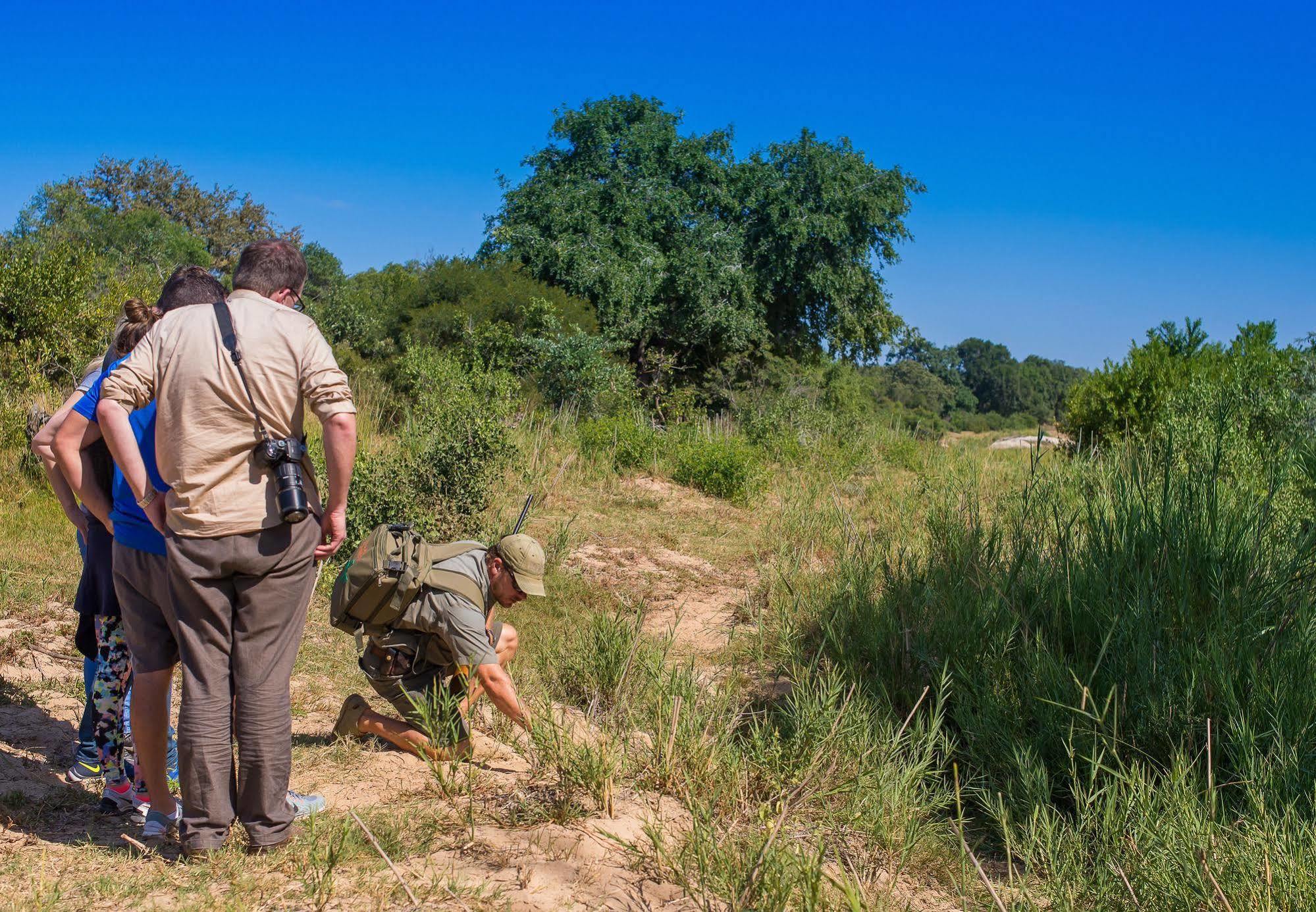 Inyati Game Lodge Metsi Екстериор снимка