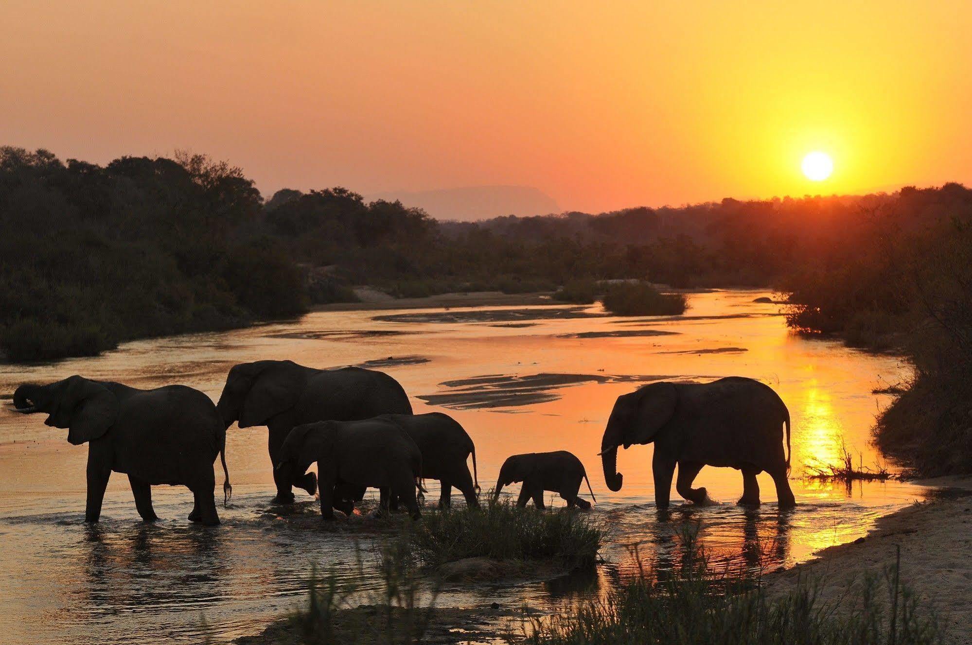 Inyati Game Lodge Metsi Екстериор снимка